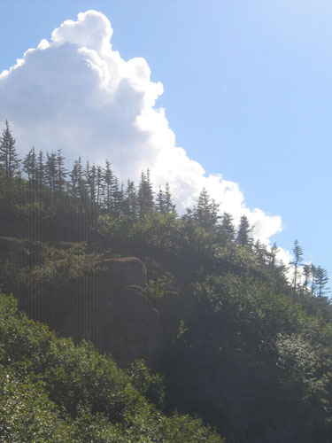 AK0729