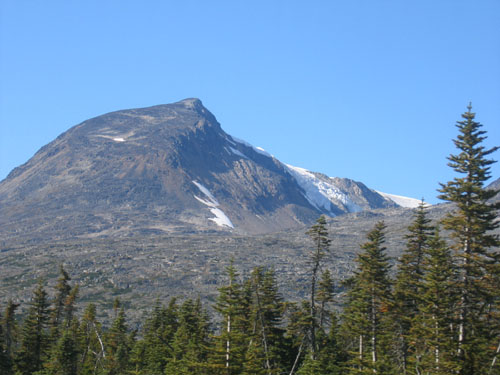 AK0733