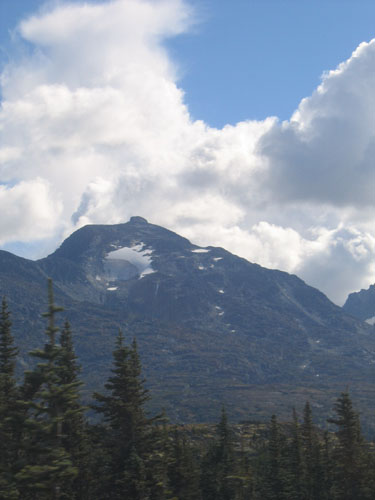AK0736