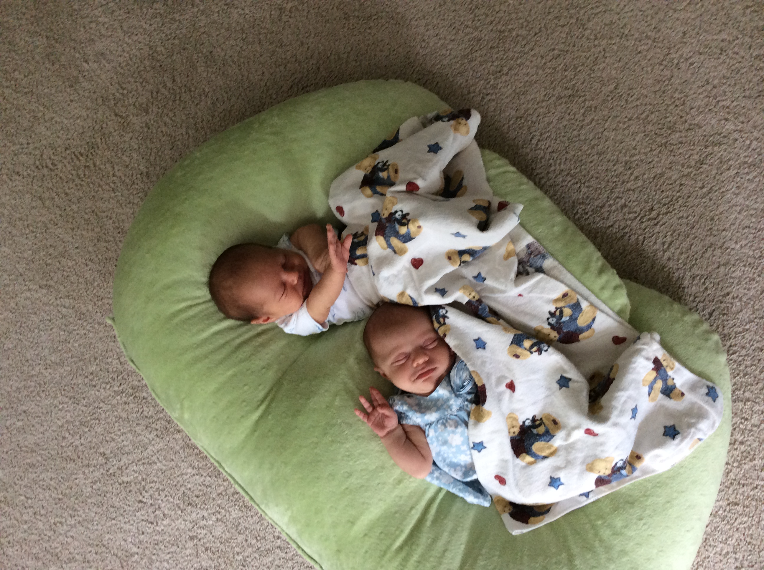 picture of Brody