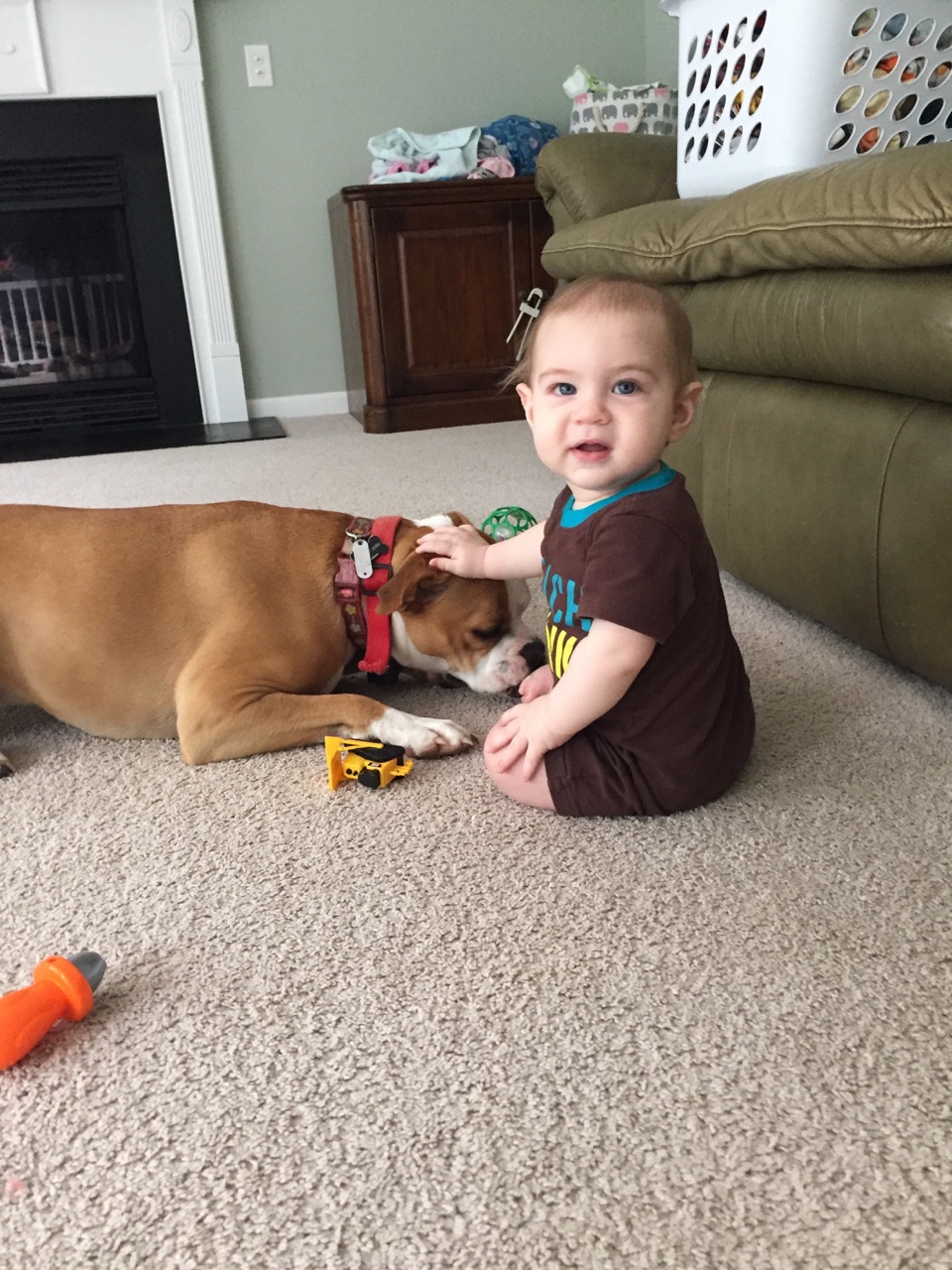picture of Brody