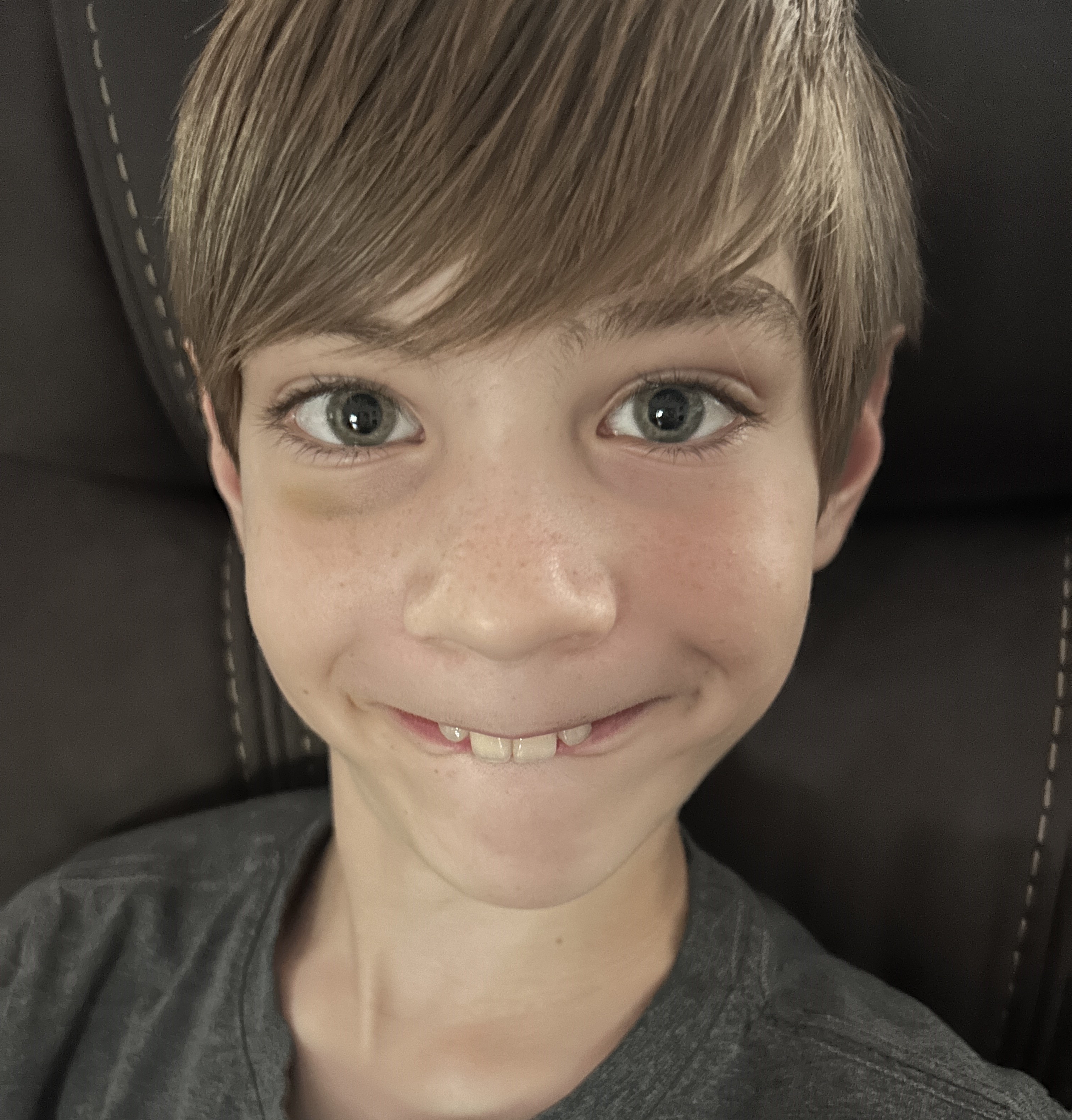 picture of Brody