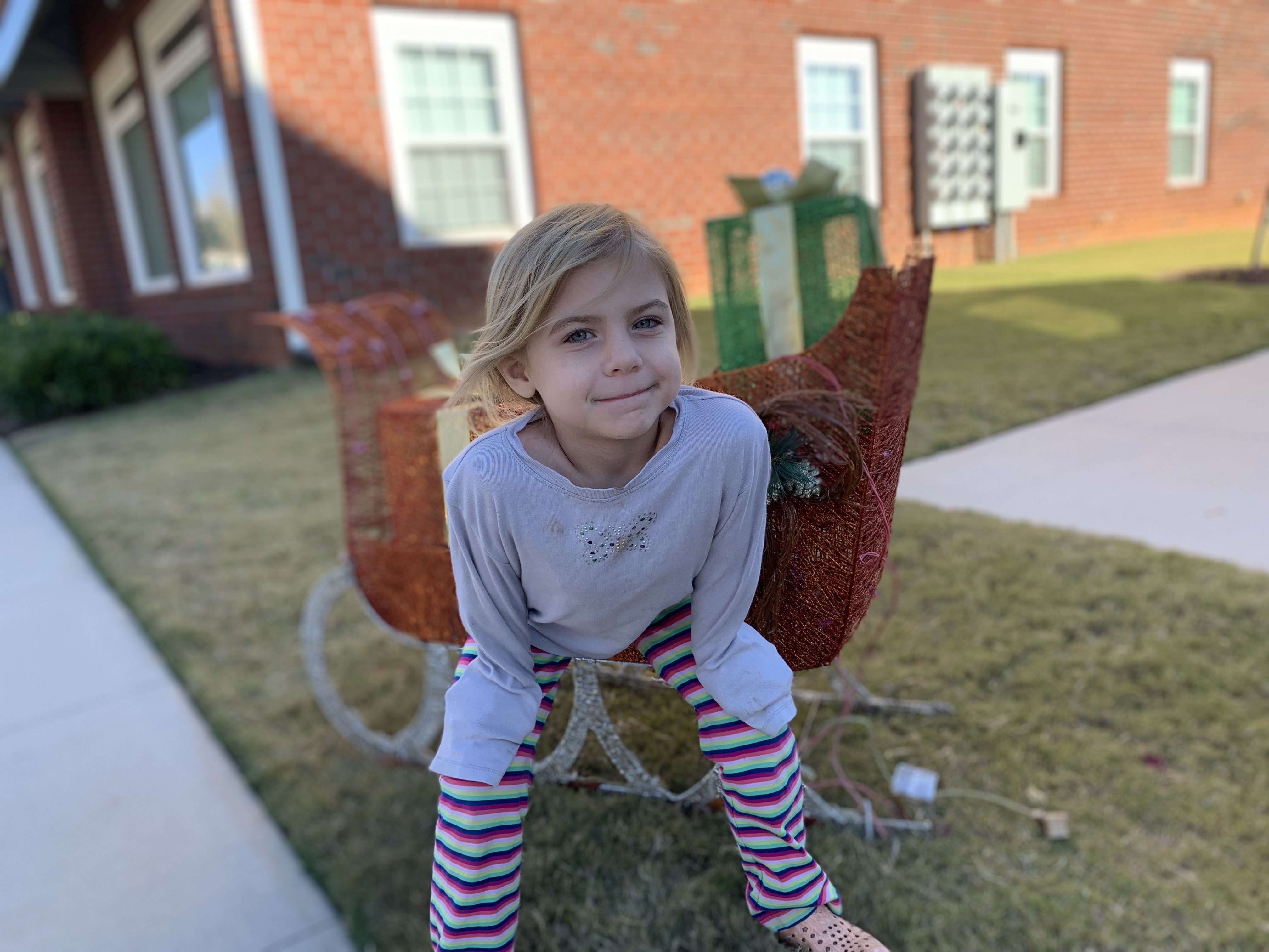 picture of Sadie