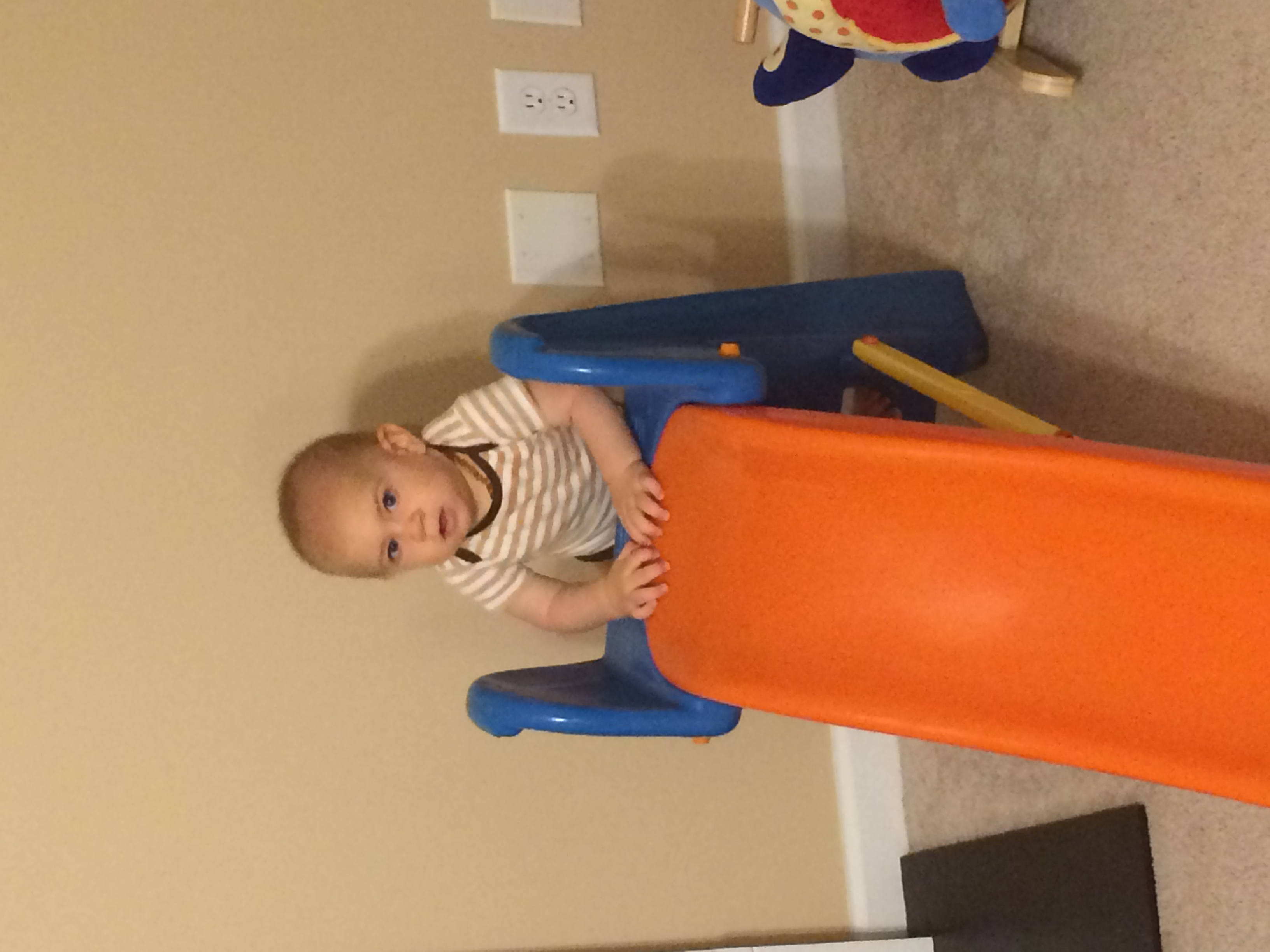 picture of Wesley