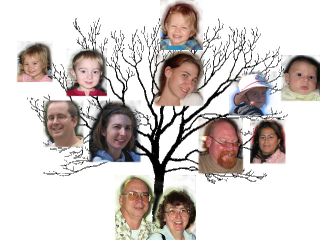 family tree 2006